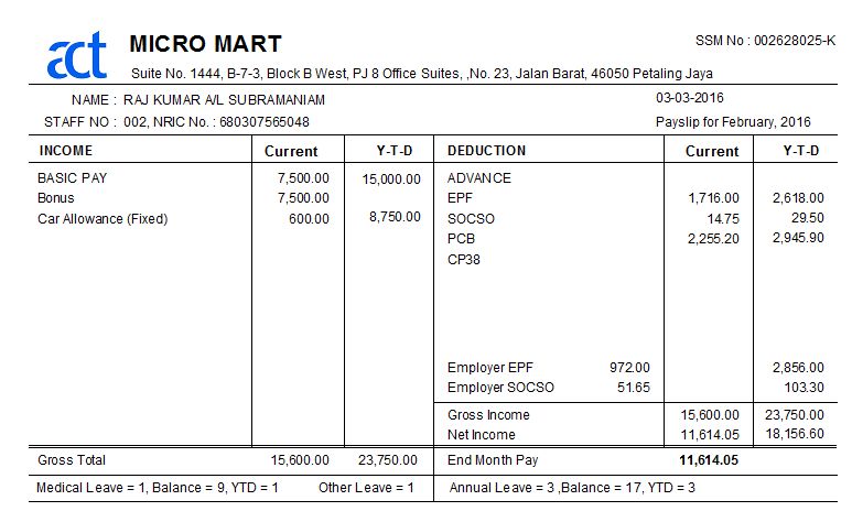 Alternate payslip with YTD