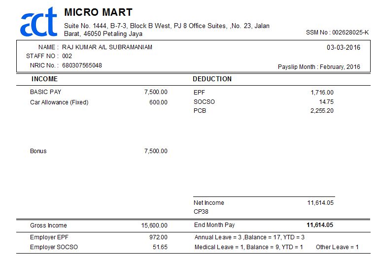 Basic payslip format